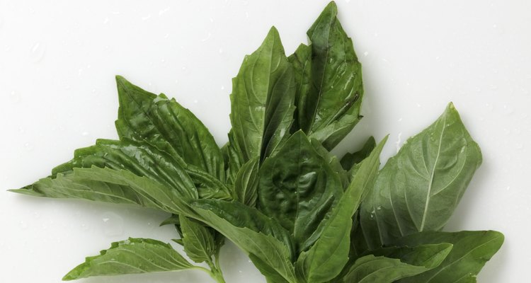La albahaca es una hierba aromática que realza el sabor de muchos platos mediterráneos.