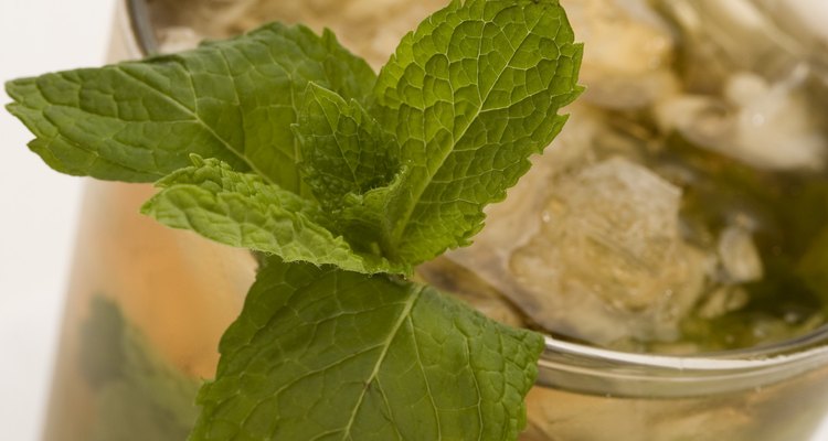 crushed mint leaves