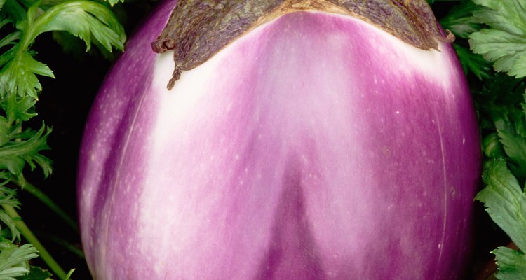 Aubergine is the word for eggplant in some countries.