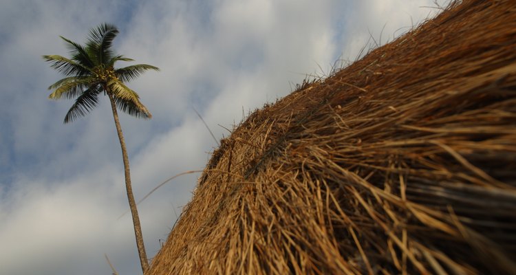 Los techos de palma de paja proporcionan sombra refrescante en los días calurosos y soleados.