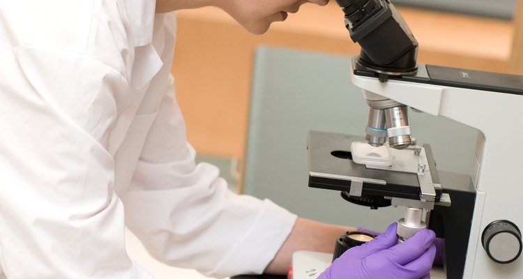 La ciencia forense en el laboratorio es uno de los campos de la medicina forense.