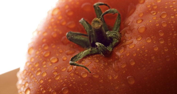 Los tomates frescos a menudo son de más alta calidad que los comprados en la tienda.