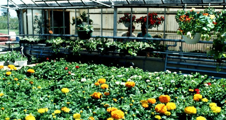 Greenhouses should be oriented to the sun.