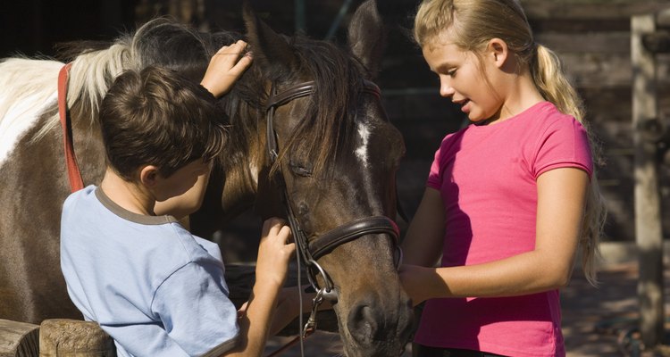 Louisville ofrece varias opciones a los niños para interactuar con caballos.