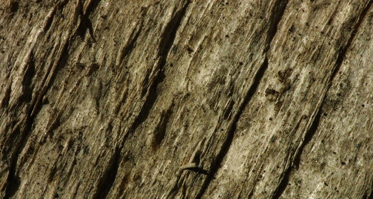 Rotten wood is highly porous and must be sealed before painting.