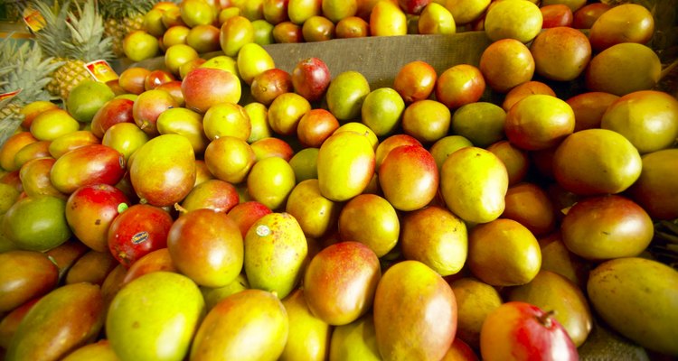 More than 1000 varieties of mango trees exist.
