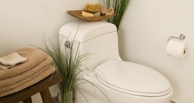Mantén la condición del asiento de tu inodoro con insumos de limpieza apropiados.