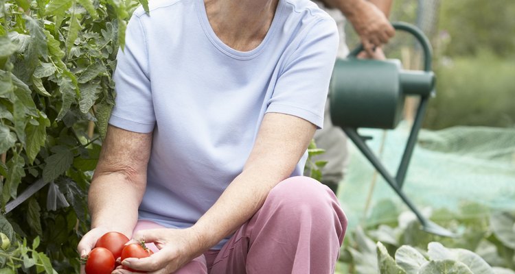 Poner una granja de vegetales puede ser un proyecto para mantenerte activo después de la jubilación.