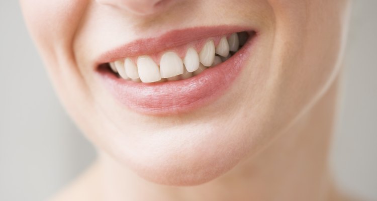 Articulações imóveis são encontradas nos dentes