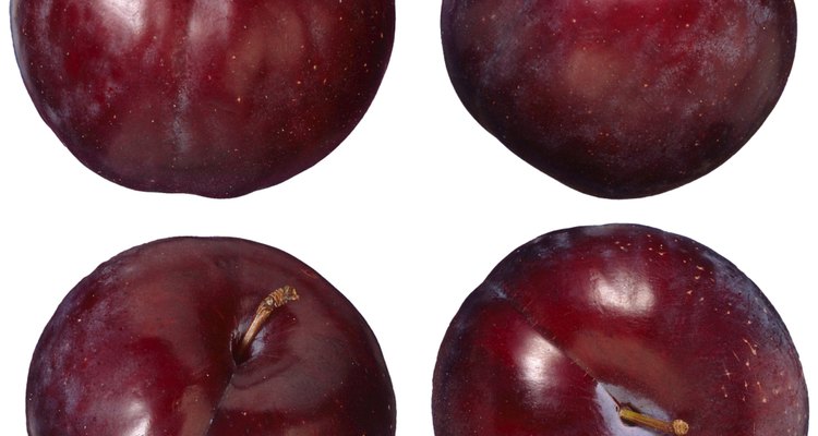 Plum tree fruits pass through several growth stages.