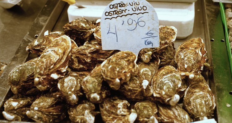 Close-up of oysters in a market in Barcelona