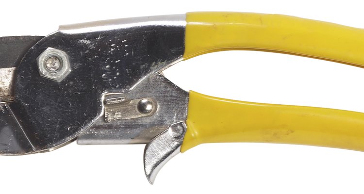 Hand pruners are likely the only tool you will need for pruning most of Sarcococca hook.