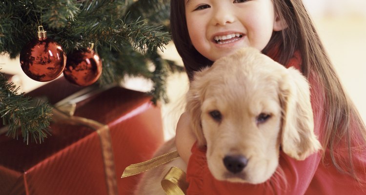 Un cachorro debajo del árbol de Navidad.