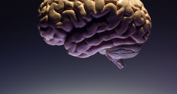 A parte do corpo afetada depende da área do cérebro danificada