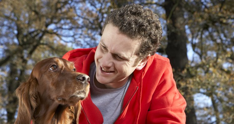 Man stroking dog, close-up