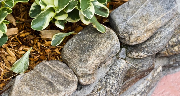 Canteiros elevados permitem que você tenha plantas em locais de solo pobre