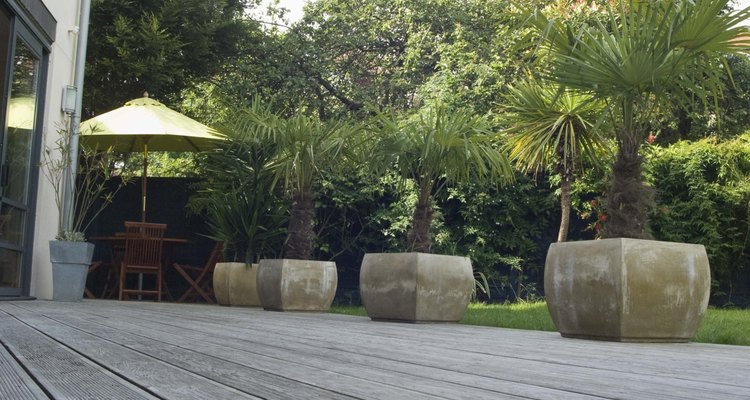 Screening plants add privacy to decks and patios.