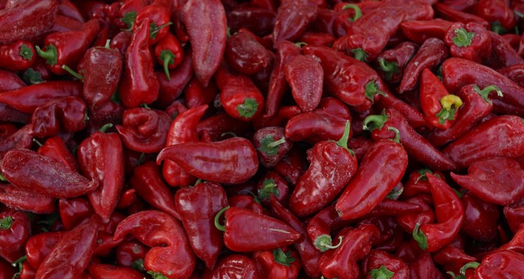 Ground red peppers create the zippy flavour of paprika.