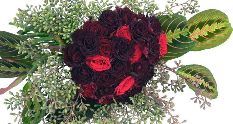 Black Baccara and Black Magic roses are deep burgundy, nearly black flowers.
