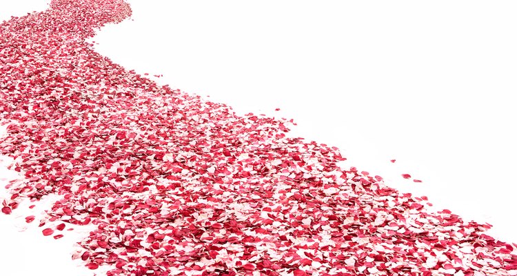 Los pétalos de rosas pueden ser preservados por meses liofilizándolos.