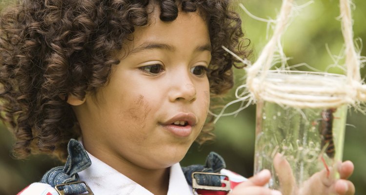 Easily cut a little boy's curly hair with the right approach, tools and technique.