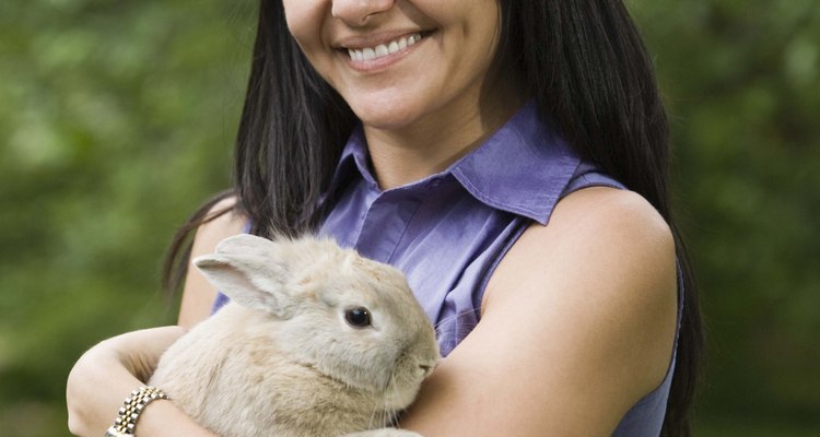 É importante que os donos observem seus coelhos diariamente para detectar mudanças no comportamento