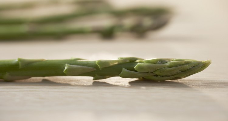 Cross Section of Asparagus Stem