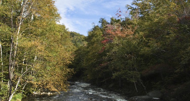 Adirondacks cuenta con miles de millas de cursos de agua.