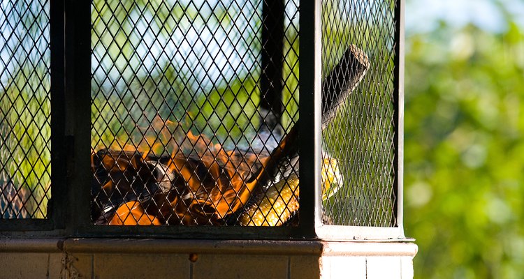 Place citronella oil lamps inside a fire pit to repel insects.