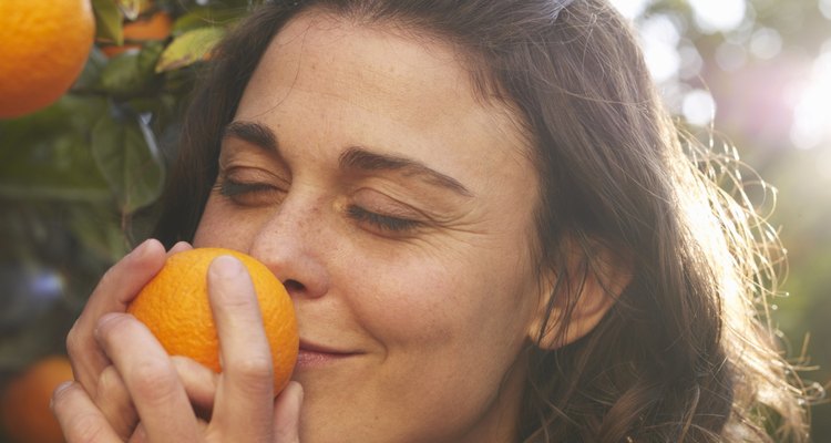 Varios pequeños brotes comienzan a crecer en los árboles de naranja durante el final del invierno.