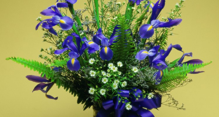 Their wide range of shapes and textures make ferns ideal for arrangements.