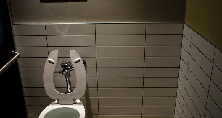 Bathrooms are prone to insect infestation, especially in lighting fixtures.