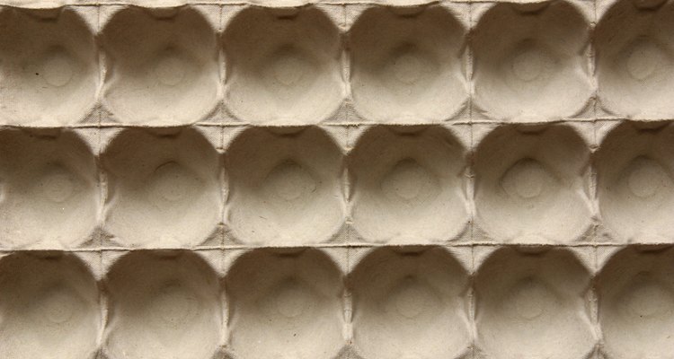 Uma embalagem de ovos pode inspirar artesanatos de formigas