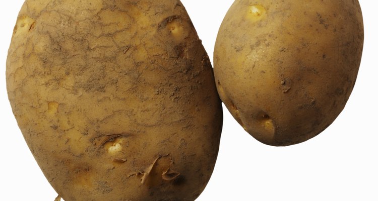 Note the dimple or eyes in the potato -- a new plant can grow from these.