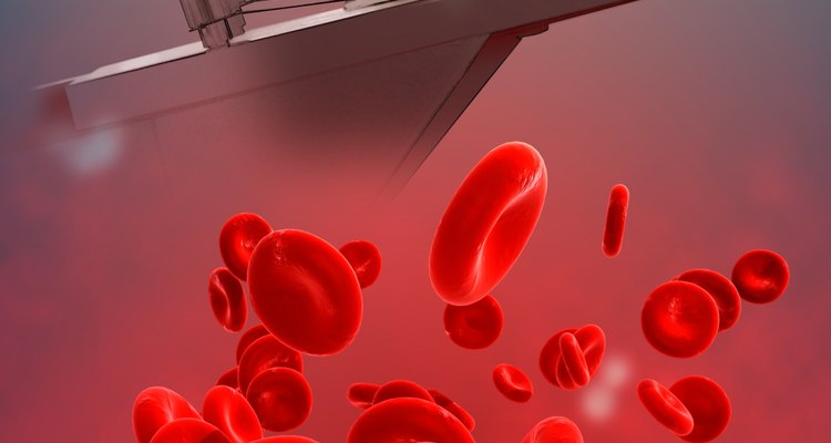 As bactérias podem ser classificadas com base em sua habilidade de induzir a hemólise em ágar sangue