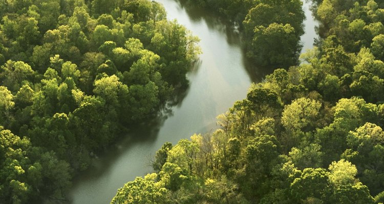 Explora un lugar que sea lo suficientemente firme como para soportar el peso del puente en cada extremo.