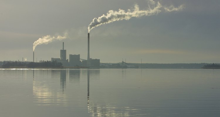 A poluição proveniente das fábricas e dos carros pode depositar toxinas no solo
