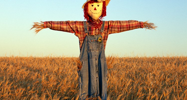 Put your class scarecrow outside so you can see it through a window.