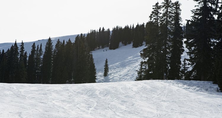 Los que usan tabla de nieve también aprovechan las diversas pistas de nieve.