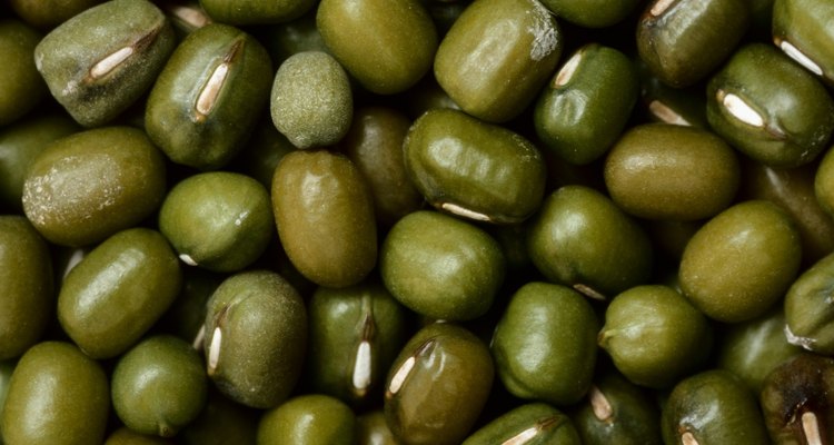 As vagens são vagens verdes de feijão com sementes em desenvolvimento em seu interior
