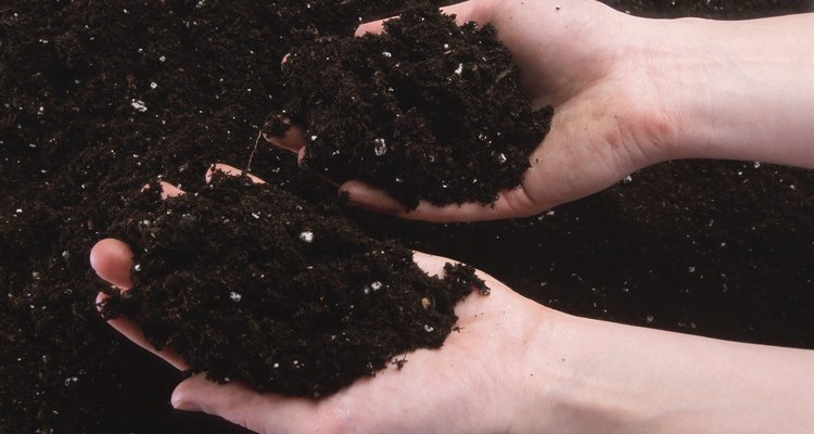 Healthy soil has a balance of nutrients to feed your lawn.