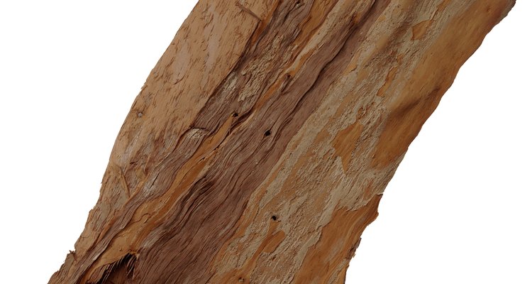 A piece of driftwood makes a lovely rustic lamp.