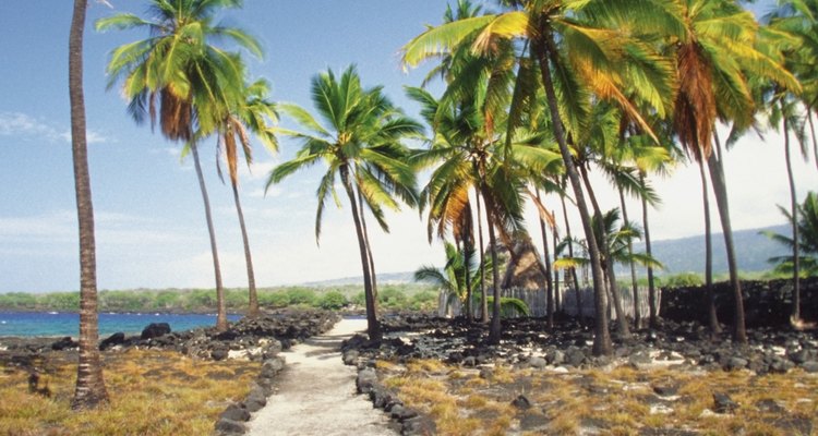 Recorre los senderos de los parques hawaianos.