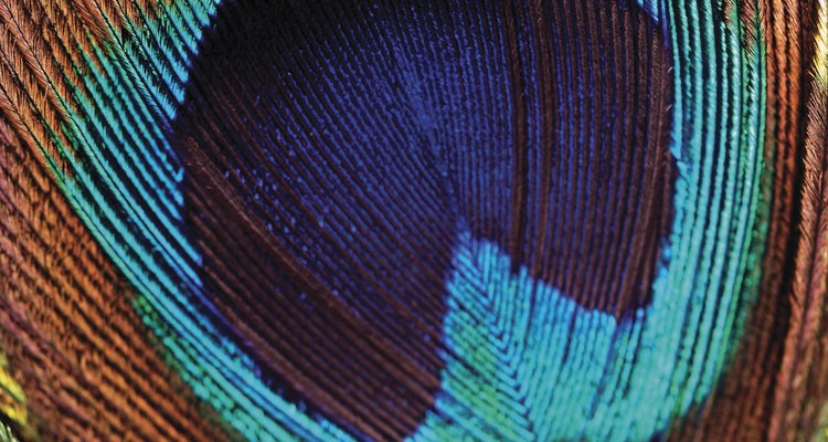 colour