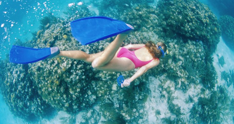 Con el buceo libre puedes explorar el mundo submarino, mientras aguantas la respiración.