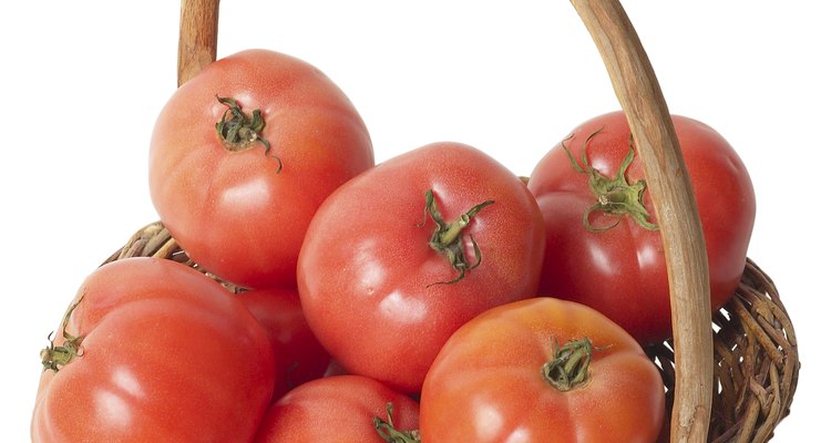 Los tomates pueden madurar ya cortados de la planta si están a temperatura ambiente.