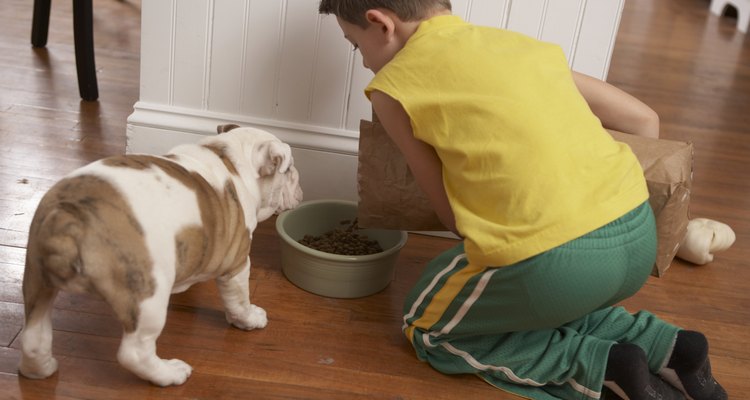 Niño alimentando a un perro.