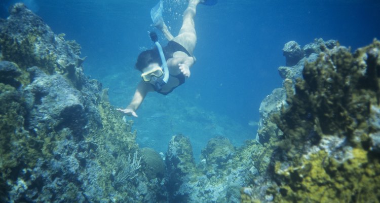 Descubre un mundo excitante bajo el agua.