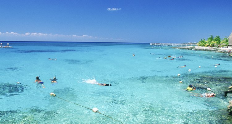 El Parque Nacional Chankanaab ofrece una variedad de actividades para los pasajeros que visitan el puerto de Cozumel.