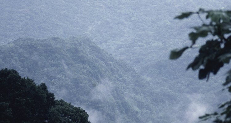 El bosque nacional El Yunque de Puerto Rico, cuenta con millas de senderos para caminantes de todos los niveles.